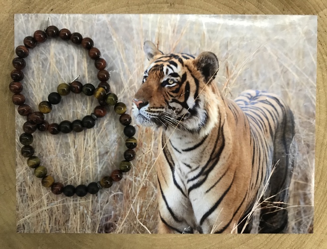 Shop tigers clearance eye